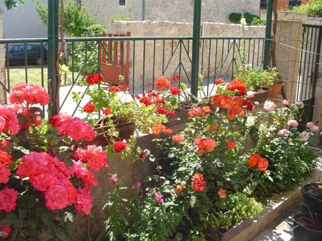 Apartments Ana&Neso باكوشتاني المظهر الخارجي الصورة